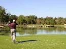 Brock Park Golf Course in Houston, TX | Presented by BestOutings
