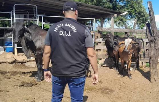 Productores impulsan nuevas medidas para frenar el hurto de ganado