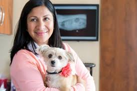 Emergency surgery is required to stem the blood loss, followed by chemotherapy. 5 Symptoms Signs Of Cancer In Dogs