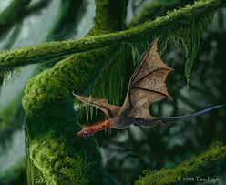 Little Wyvern Amongst The Moss By Jaxxblackfox On Deviantart Tiny Dragon Dragon Art Forest Photos