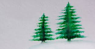 Wer den christbaum nicht selbst entsorgen möchte, muss ihn zu festgelegten terminen gut sichtbar und vollkommen abgeschmückt am straßenrand bereit stellen. Weihnachtsbaume Werden Abgeholt Rsag Aor Wertstoffhof Troisdorf City