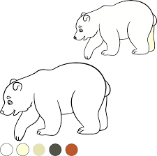 Free printable polar bear coloring pages. Cute Cub Cute Polar Bear Coloring Pages Novocom Top