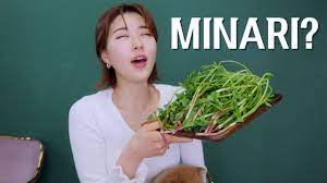 Secalinum).it has a widespread native distribution in temperate asia and tropical asia, and is also native. How Does Minari Looks Like Exactly What Is Minari The Plant Youtube