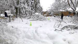 Jamestown Ny Snowfall Christmas 2021 Winter Weather Guide Jamestown New York Spectrum News