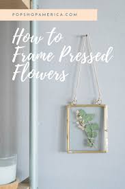 Pressed flowers in glass frame. Diy Pressed Flower Frame