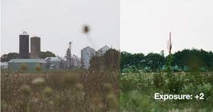 Maybe you would like to learn more about one of these? Can You Shoot Great Photos With Expired Film This Pro Shows You How Video Shutterbug