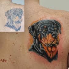 Healed portraits of some lovely rottweilers i got to do a while back loved doing these and would love to do some more animal portraits!! The 16 Cutest Rottweiler Tattoo Design Ideas Rottweiler Tattoo Dog Tattoo Rottweiler Dog