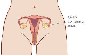 Checking iud strings is a wise idea for any woman with an iud. Mirena Iud Hormonal Iud Mirena Iud Mirena Insertion Iud Mirena Cost Mirena Iud Melbourne Family Planning Victoria