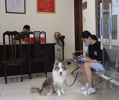 Xây dựng chủ nghĩa xã hội ở đại hội khẳng định tiếp tục nắm vững 2 nhiệm vụ chiến lược là xây dựng và bảo vệ tổ quốc xã hội chủ nghĩa, đẩy mạnh công nghiệp hóa, hiện đại hóa. Qeo3jkiunlhgqm
