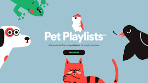 Check spelling or type a new query. Spotify Pet Playlists Search By Muzli
