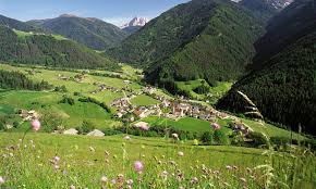 Bäume erneuern ihre blätter und blühen, und an manchen tagen wehen rosa blütenblätter durch die luft. Fruhling In Den Bergen Fruhlingserwachen In Sudtirol