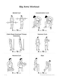 biceps exercices