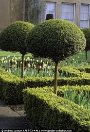Pin By D On Garden Details Beautiful Gardens Boxwood Garden Garden Styles