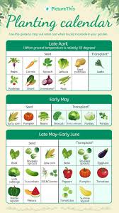 Alyssa Murch (alyssamurch)