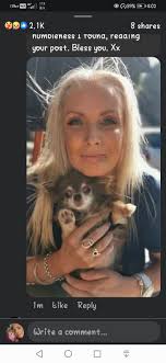 Chihuahua named Poppy