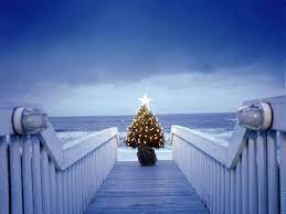 Check spelling or type a new query. Christmas Beach Wallpapers Top Free Christmas Beach Backgrounds Wallpaperaccess