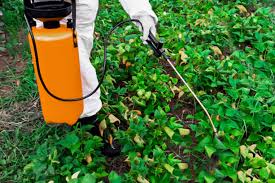 You can also use an herbicide to kill the lake weeds. How To Kills Weeds With Environmentally Friendly Methods
