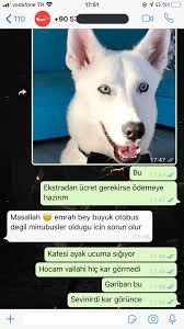 Necip Senel On Twitter Senin Fotonu Istemediler Mi