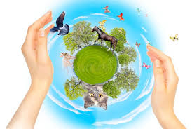 nature ecology and different animals protection the concept of conservation c aff animals ecology nature pro wildlife conservation animals nature
