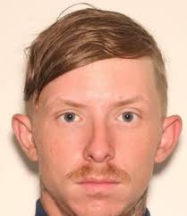 Works really good all you need is a Roku box and you're ready to go