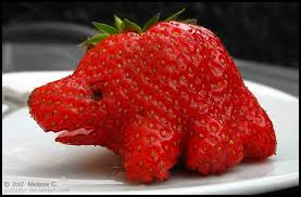 We did not find results for: Strawberry Or Dinosaur By Evilladyc On Deviantart