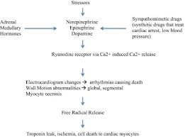 Elevated Troponin In Patients With Acute Stroke Is It A