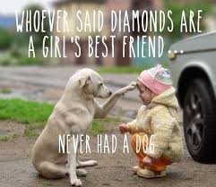 Pin By Brenna Clymer On Sayings Dog Best Friend Quotes Dog Quotes Dog Best Friend