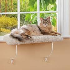 Whisker city cat harness video. Null Window Perch Cat Window Perch Heated Cat Bed
