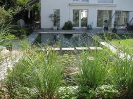 Badeteich Schwimmteich Klein Schwimmteich Naturschwimmbecken Badeteich