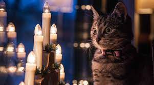 Icelandic Christmas Traditions Tinna Adventure