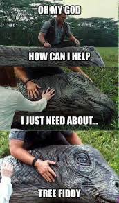 Best 30 Tree Fiddy Fun On 9gag