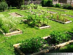 Son goût frais et subtile en font une star des herbes aromatiques. Le Jardin De Cure