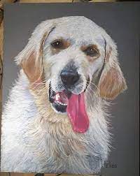 Tell us about your project and we'll send you a list of pet photographers to review. How Far Off Is My Pricing For Pet Portraits Wetcanvas Online Living For Artists