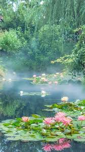 Free for commercial use ✓ no attribution required . Forest Aesthetic Blue Flowers Green Landscape Nature Pastel Pink Water Hd Mobile Wallpaper Peakpx