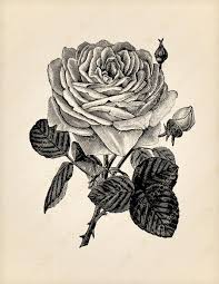 Flat $20 off usaa flowers for members discount coupon code for all orders. Project Printable Pprintable Twitter