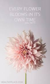 We did not find results for: 26 Flower Quotes So Life Quotes