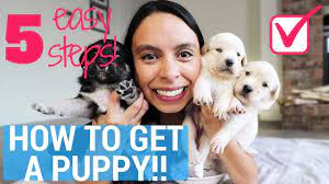 Then show your self responsible enough to take care of a dog. Get Your Parents To Say Yes To A Puppy Guaranteed 5 Easy Steps Youtube