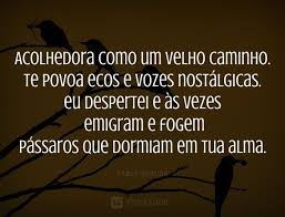 17 Melhores Poemas De Amor De Pablo Neruda Melhores Poemas De Amor Poemas De Amor Poema De Shakespeare