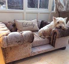 Maybe you would like to learn more about one of these? Dog Sofa Couch Cheaper Than Retail Price Buy Clothing Accessories And Lifestyle Products For Women Men