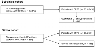 Flow Chart Of Study Design And Patient Population Cpfe