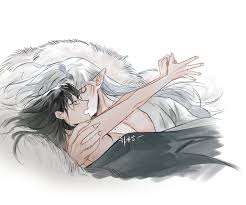 Sesshomaru X Rin From the anime ore manga inyasha sesshomaru is my favoriete characater from the serie but i do not really like the couple it is weird i don't know. sesshomaru x rin