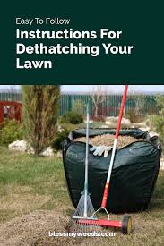 You can do this either mechanically or manually. Easy To Follow Instructions For Dethatching Your Lawn Bless My Weeds