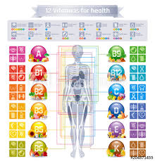 Mineral Vitamin Supplement Human Body Food Health Benefit