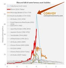 Wenn es mehr käufer gibt als willige verkäufer steigt der kurs, wenn es mehr verkäufer gibt als käufer sinkt der kurs bis dieses gleichgewicht wieder hergestellt ist. Bitcoin Chart Zeigt Erstaunliche Parallelen Zur Tulpen Manie Boerse De