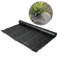 How do you stop grass from growing without using weed killer? China Supplier Weed Mat Ground Cover For Blueberry Weed Mat To Stop Grass Growing Tree Weed Mat China Weed Mat And Woven Weed Mat Price Made In China Com