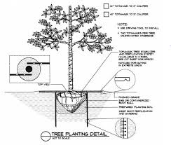 It sounds like the easiest way would be to use the chemical stump killing, method as that would allow it to rot without to get rid of a tree stump using stump removal chemicals, first cut it as close to the ground as possible. Tomahawk 32 System Arborist Supplies