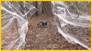 Image result for pokoutnik st job 