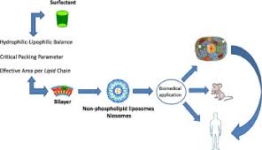 Dr erin bercerai denagn dai farhan dan berita tersebut. Niosomes From 80s To Present The State Of The Art Sciencedirect