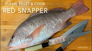 Clean Fillet Cook A Red Snapper Fish Youtube Red Snapper Snapper Fish Cooking Red Snapper