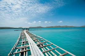 The torres strait is a body of water which lies between australia and the melanesian island of new guinea. Local S Guide To The Torres Strait Islands Queensland
